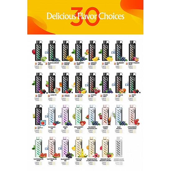 Vozol - Shisha 25000 Puff Tek Kullanımlık Elektronik Sigara 