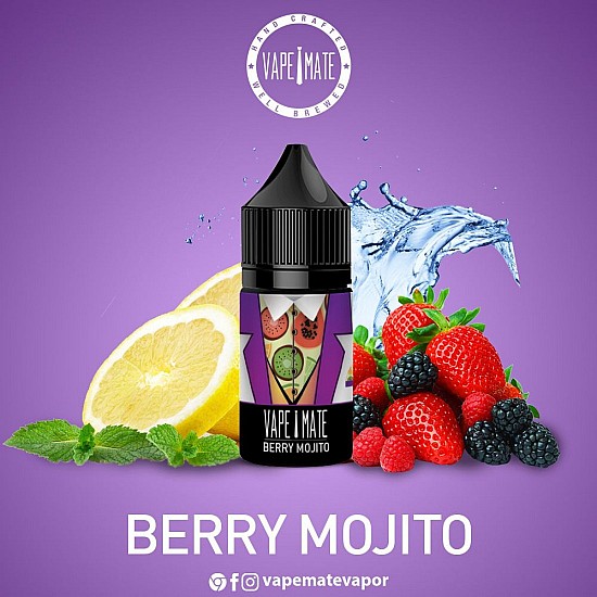 Vape Mate - Berry Mojito 30 ML Salt Likit